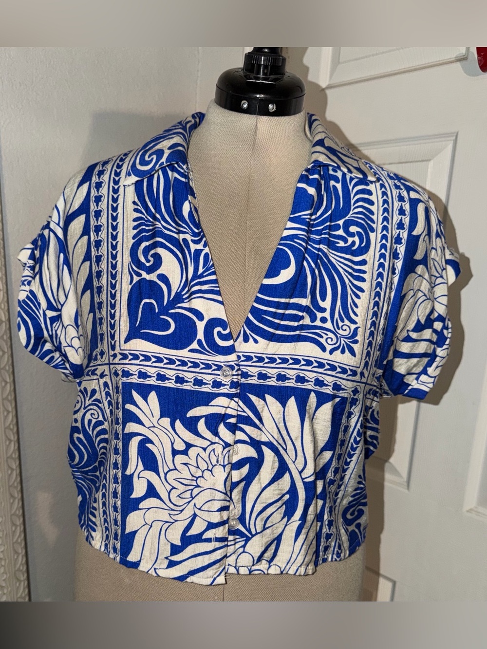 Blue and White Floral Print Button-Front Crop Top